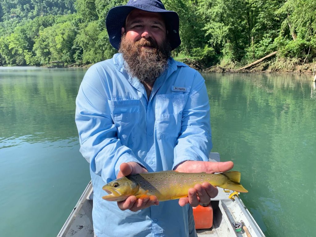 trout fishing in arkansas trout fishing in arkansas
